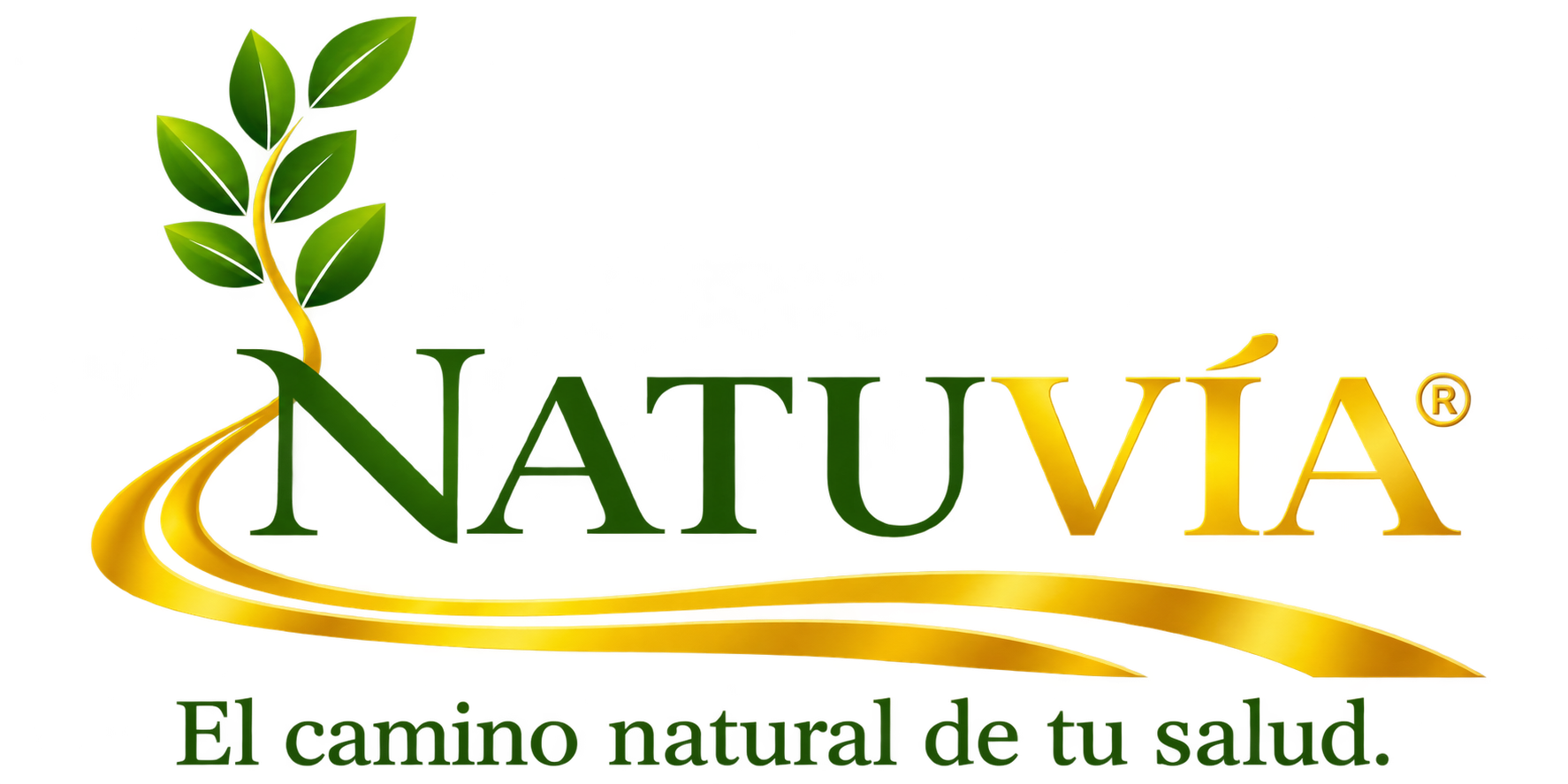 logo (2)